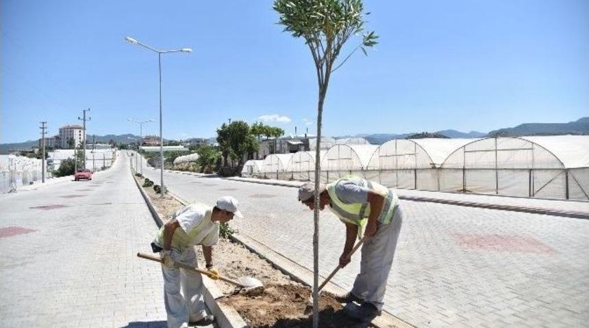Alanya Konaklı Mahallesi&rsquo;ne Cadde Yenileme &Ccedil;alışmaları