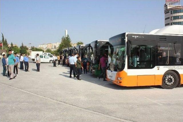 Kilis Belediyesi Lys’ye Giren Öğrencileri Gaziantep’e Taşıdı