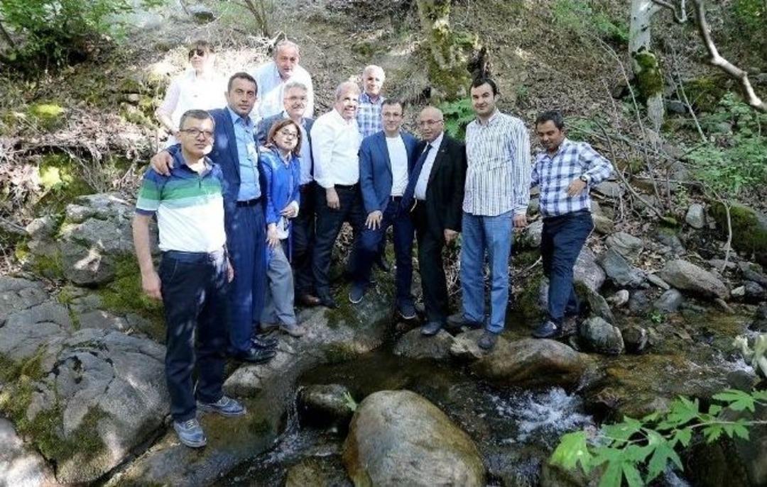 Gaziantep B&uuml;y&uuml;kşehir Belediye Başkanı Fatma Şahin: