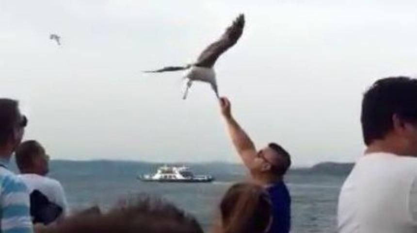 Boğazın Ortasında Martıları Elleriyle Beslediler