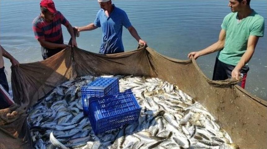 İ&ccedil; Sularda Av Yasağı Kalktı Ama Kimse Mutlu Değil