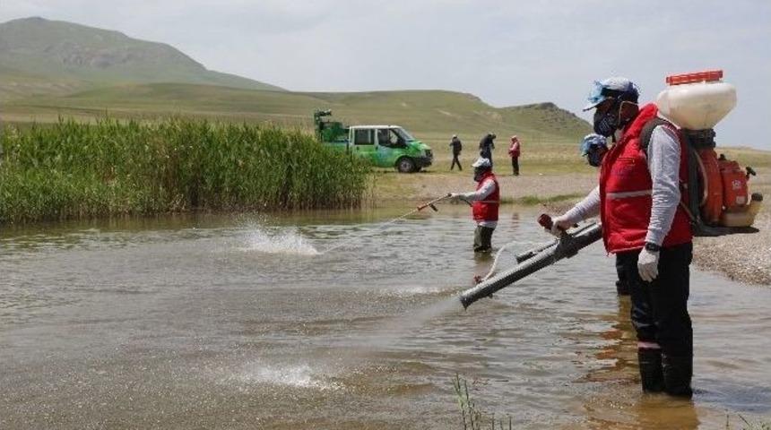 Tuşba Belediyesi&rsquo;nden Sivrisineklerle Biyolojik M&uuml;cadele