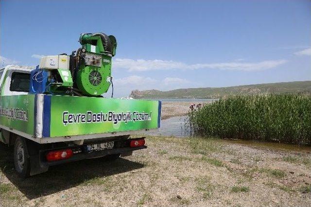 Tuşba Belediyesi’nden Sivrisineklerle Biyolojik Mücadele