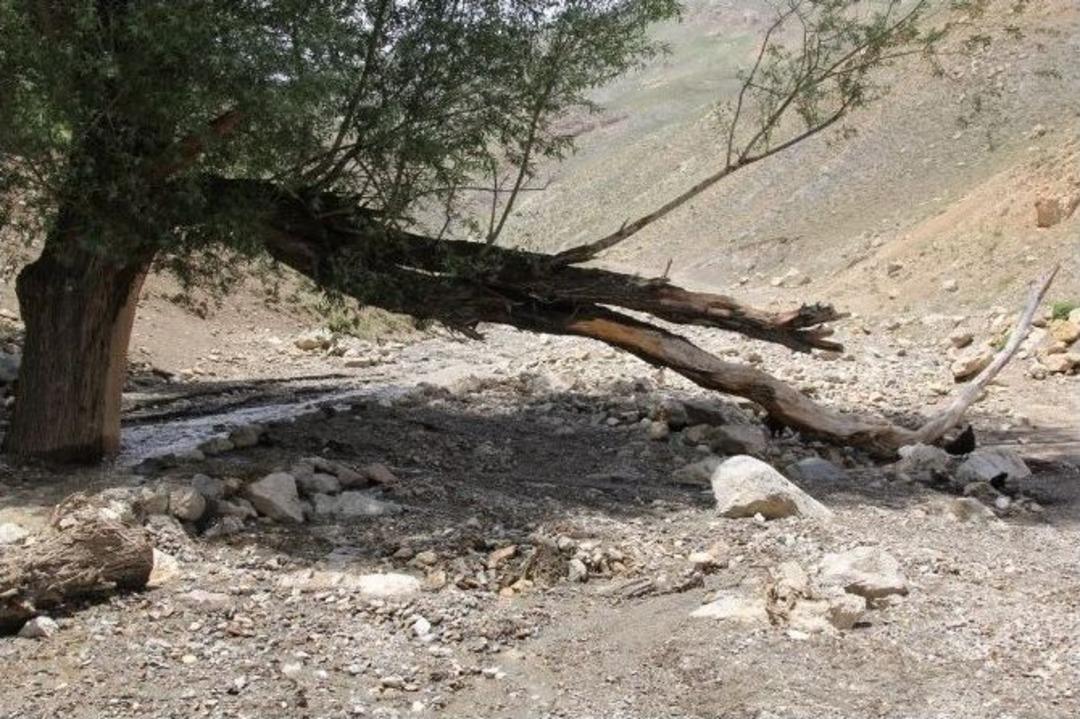 Başkale&rsquo;de Sel 30 Koyunu Telef Etti