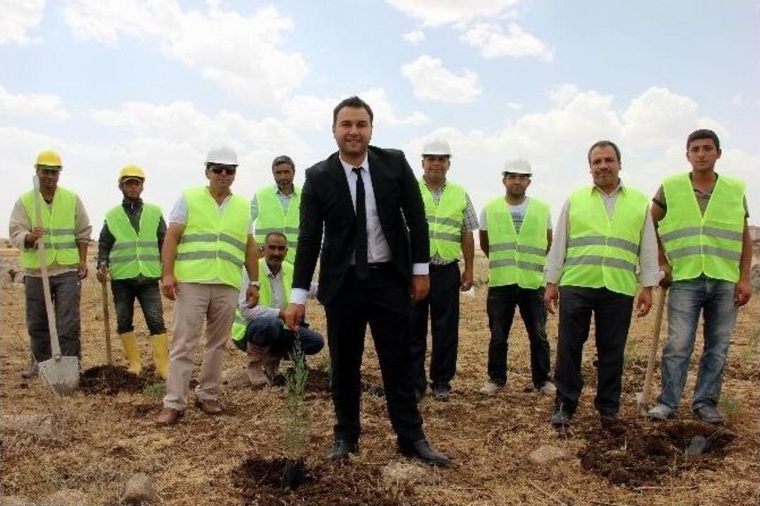 Ediz İnşaattan Bin Adet Fidan Ekimi