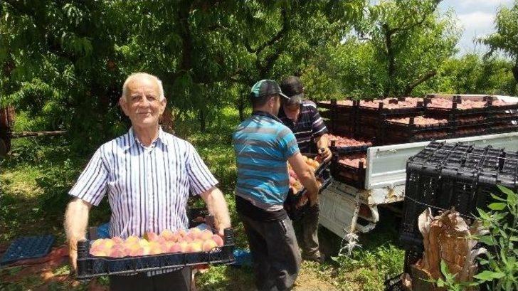 Şeftali Üreticisini Önce Yağmur Sonra Fiyatlar Vurdu G4