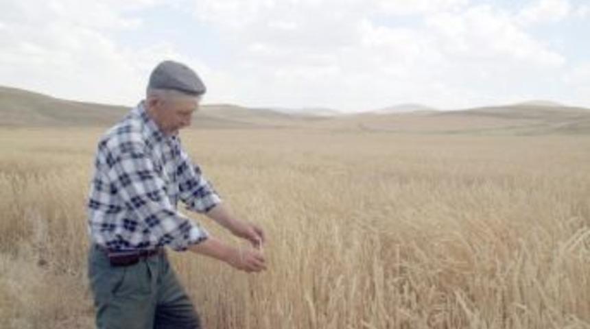 Beylikova&rsquo;da Hazine Arazilerinin İzinsiz Ekildiği İddiası