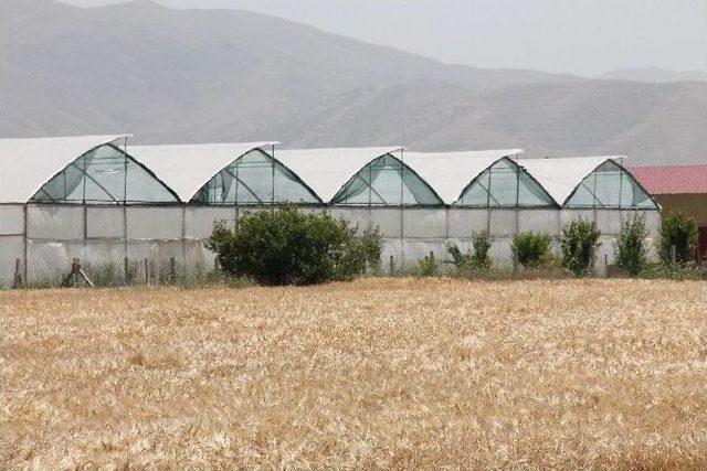 Elazığ’daki Kazada Ölenlerin İsimleri Belli Oldu