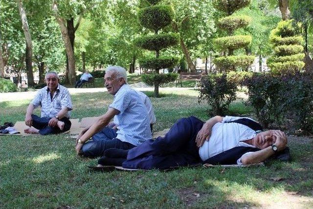 Denizli’de Termometreler 43 Dereceyi Gördü