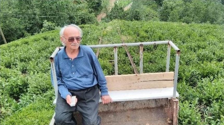 Rizeli De &Ccedil;are T&uuml;kenmez