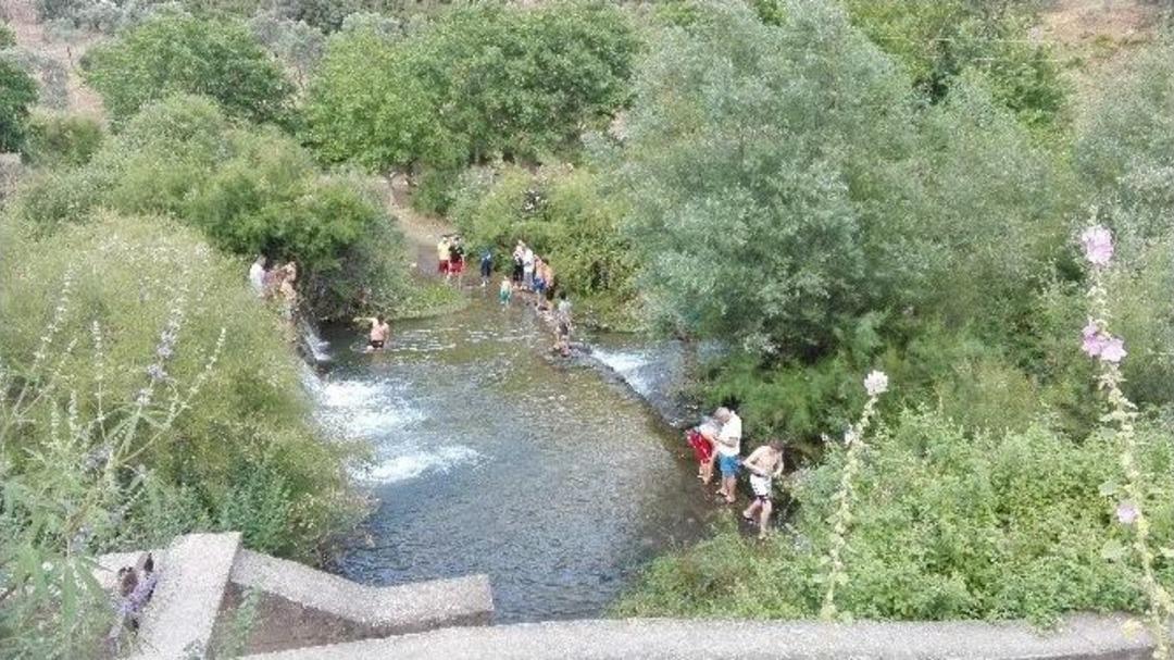 Sıcağa Dayanamayan Derelere Koştu