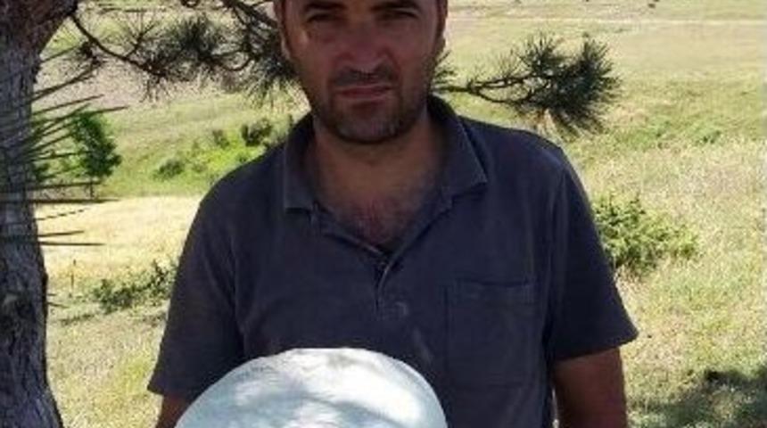 2 Kilo Ağırlığındaki K&uuml;lt&uuml;r Mantarı G&ouml;renleri Şaşırttı