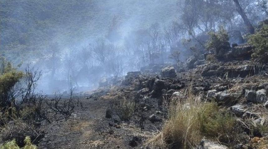 Seydikemer Orman Yangını