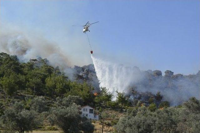 Seydikemer Orman Yangını