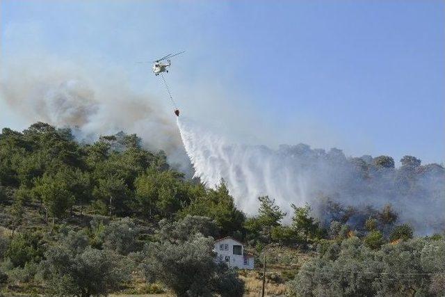 Seydikemer Orman Yangını