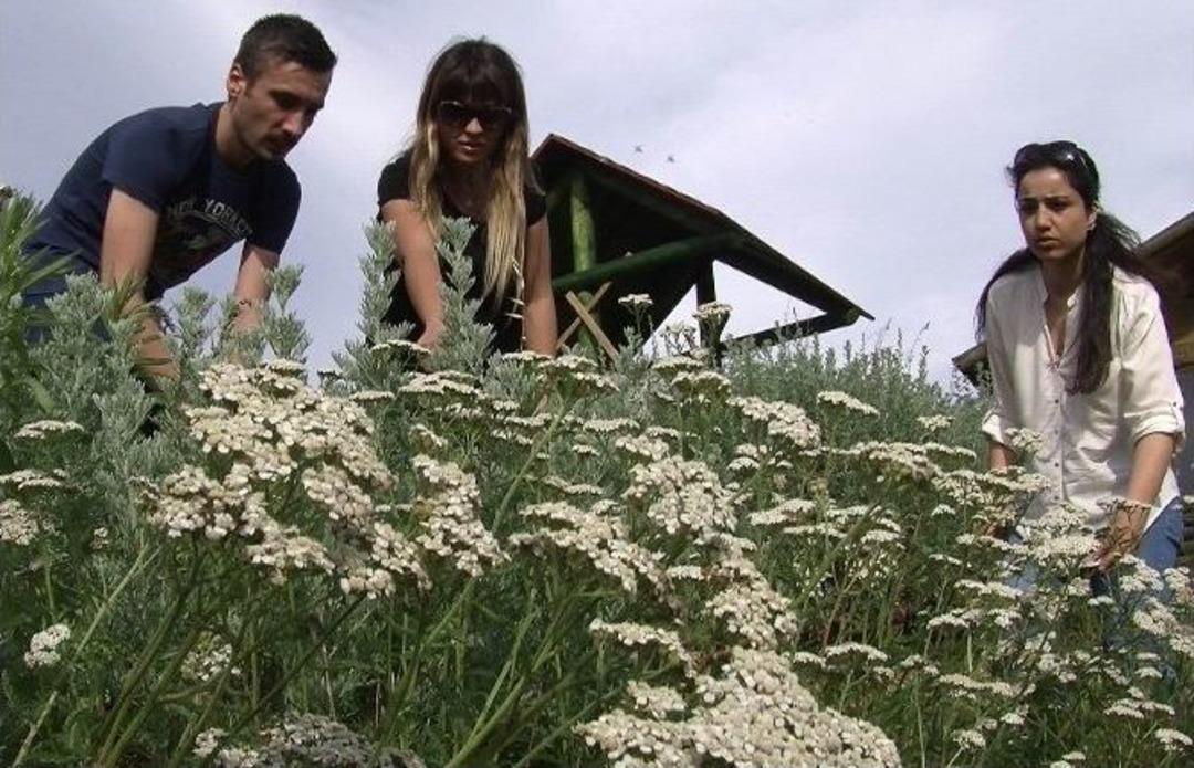 Kazdağları Bilim K&ouml;y&uuml; &Ouml;devlere De Konu Oluyor