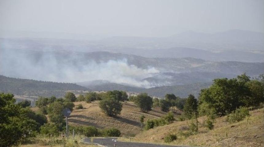 Uşak’ta Buğday Tarlası Ve Makilik Alanda Yangın