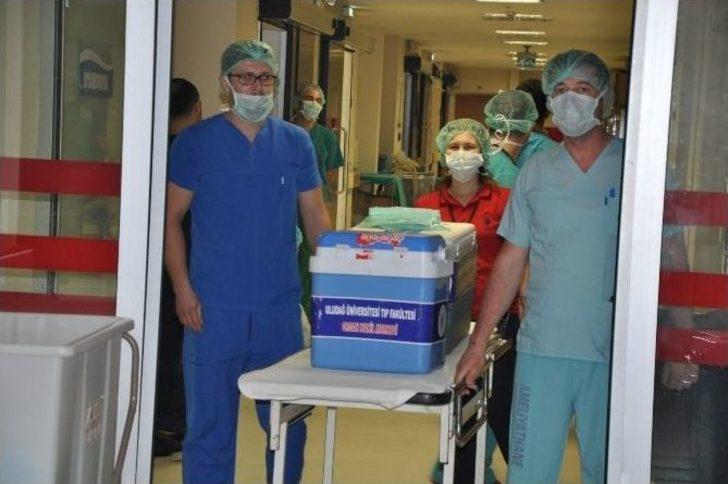 Organları İle 5 Kişiye Umut Oldu G1