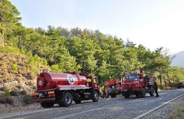 Manavgat’ta Orman Yangını