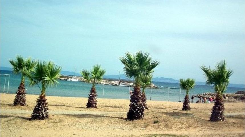 Aşırı Sıcaklar Sahilleri Etkiledi