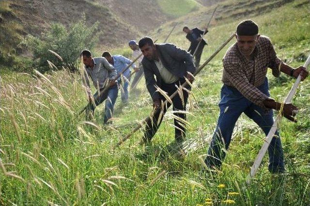 Tırpancıların Zorlu Oruç Mesaisi