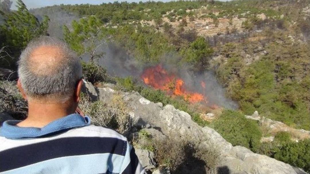 Mersin&rsquo;de 3 D&ouml;n&uuml;ml&uuml;k Kızıl&ccedil;am Ormanı Yandı