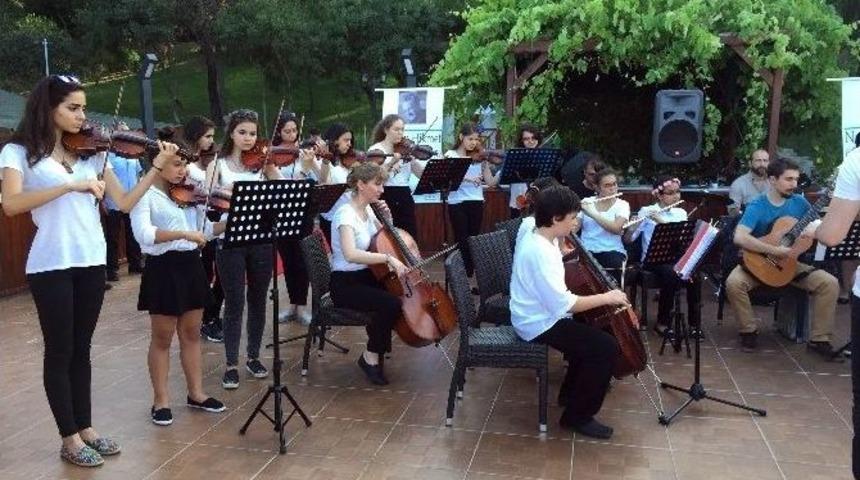 &Ccedil;ocuklar Nazım Hikmet B&uuml;y&uuml;kada Yaz Kampı&rsquo;nda Hem Eğlenecek, Hem &Ouml;ğrenecek
