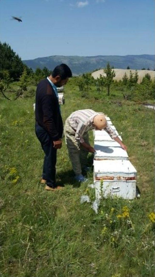 Gezginci Arıcıları Ziyaret Eden Başkan Özdemir: Aydın Arıcısı Hak Etmediği Muamle İle Karşılaşıyor