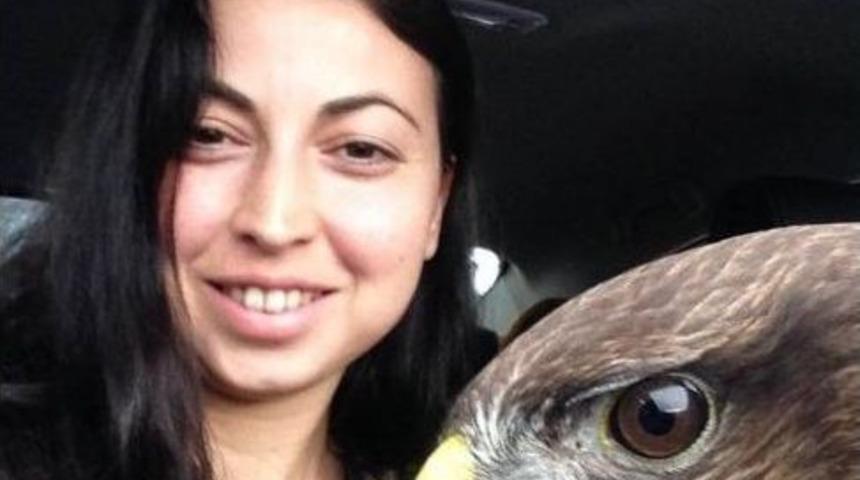 &Ouml;rnek Veteriner