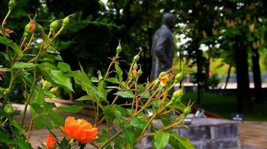 &Ccedil;ankaya&rsquo;nın Parkları &Ccedil;i&ccedil;eklerle Renklendi