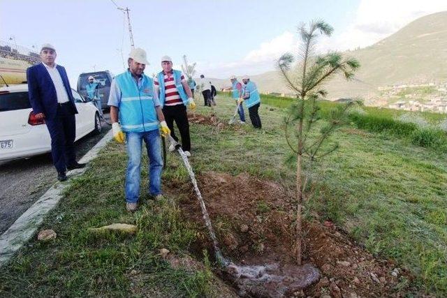 Dünya Yetimler Günü’nde Bayburt’ta Yetim Hatıra Ormanı