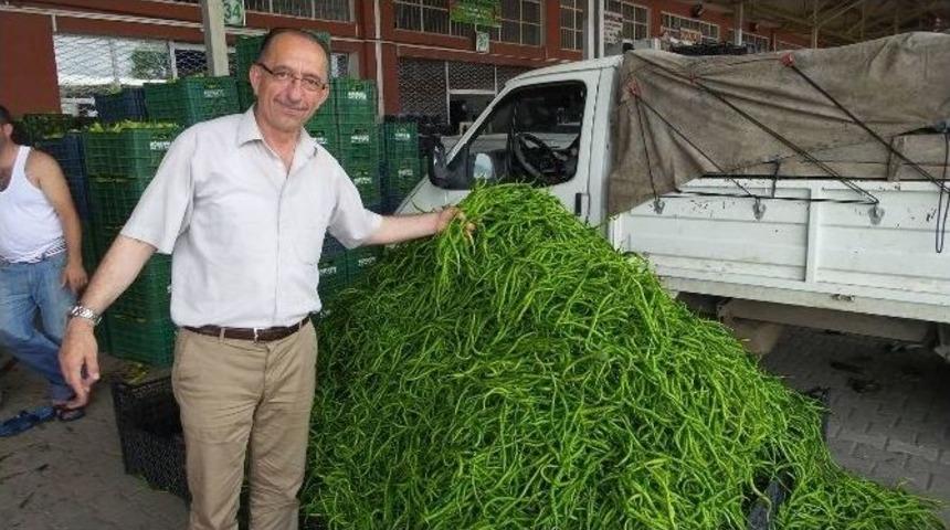 &Ccedil;arşamba Ovası&rsquo;nda &Uuml;r&uuml;nlerin Y&uuml;zde 60&rsquo;ı &Ccedil;&uuml;r&uuml;d&uuml;
