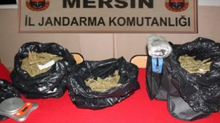 Jandarmadan Uyuşturucu Operasyonu