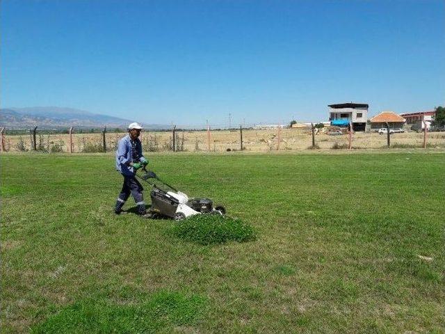 Daha Yeşil Bir Alaşehir İçin Çalışıyorlar