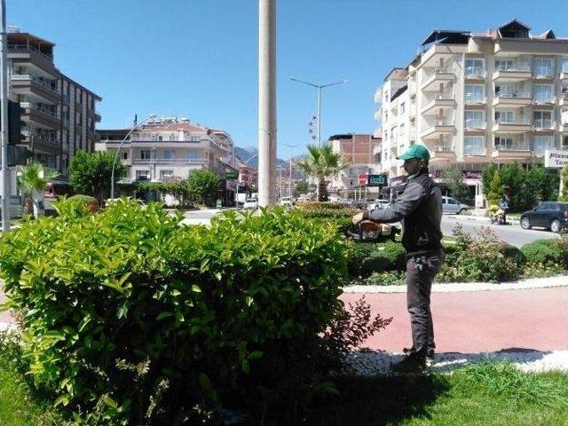 Daha Yeşil Bir Alaşehir İçin Çalışıyorlar