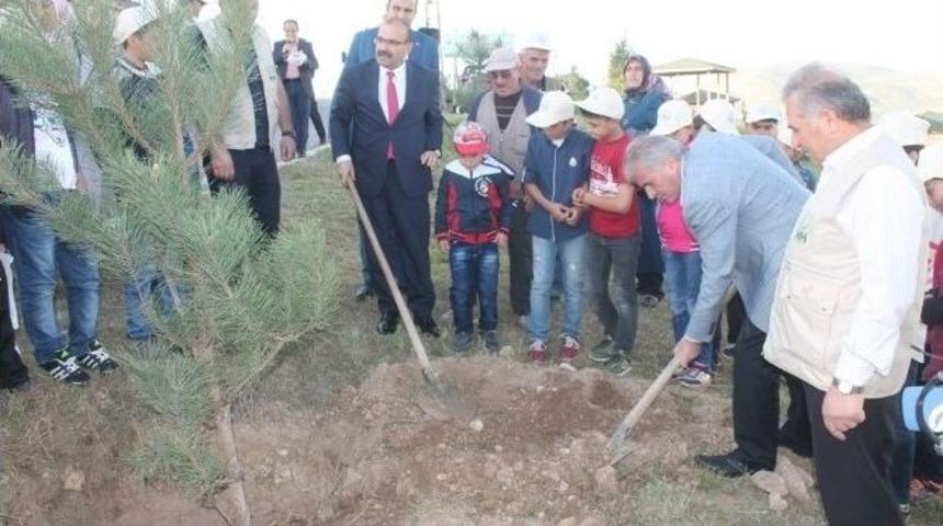Bayburt’ta Yetimler İçin Hatıra Ormanı
