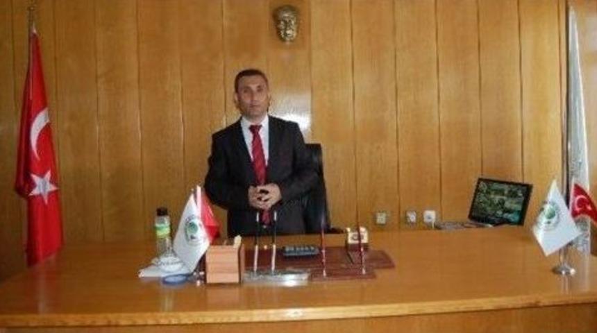 Belde Belediyesi Kaldırımlara Fidan Dikti