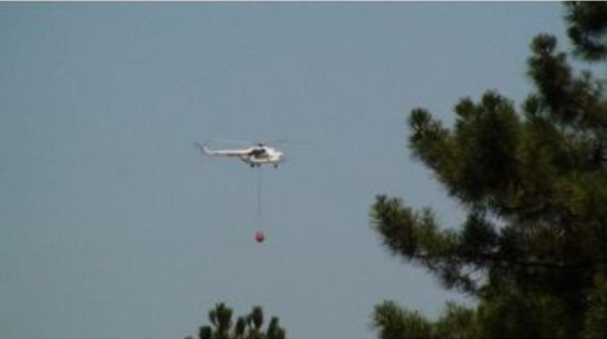 Sultanbeyli&rsquo;de Orman Yangını