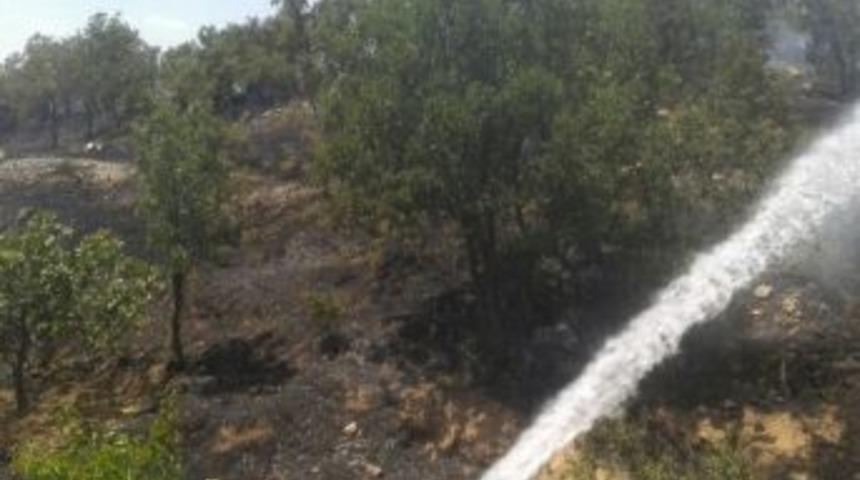 Tut İl&ccedil;esinde Yangın