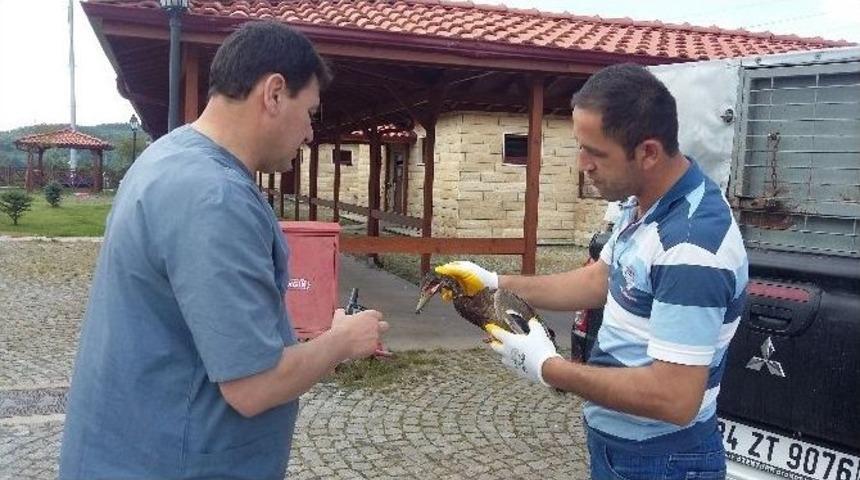 İzmit&rsquo;te Sokak Hayvanları Sahipsiz Bırakılmıyor