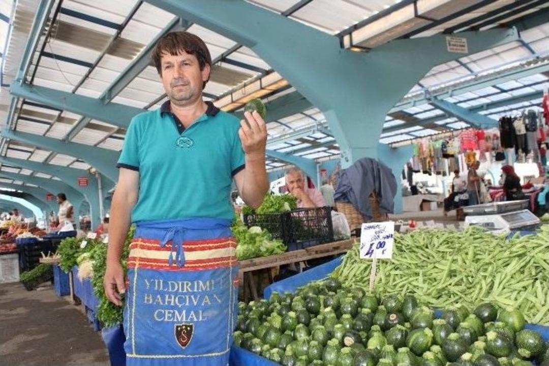 Edirne&rsquo;de Girit Kabağı &Uuml;retti