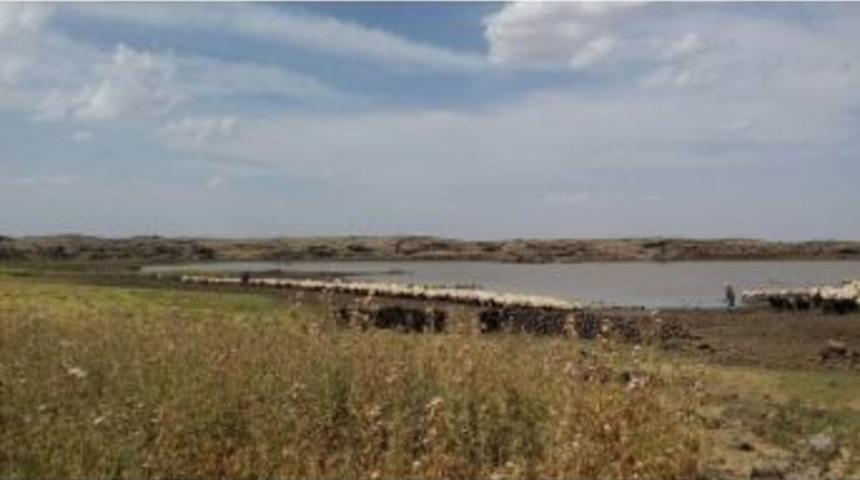 B&uuml;y&uuml;kşehir, G&ouml;let Yapım Ve Onarım &Ccedil;alışmalarını S&uuml;rd&uuml;r&uuml;yor