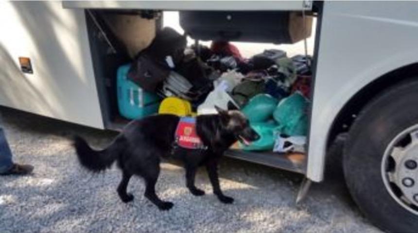 Milas&rsquo;ta Yakalanan Esrar Tacirine Tutuklama