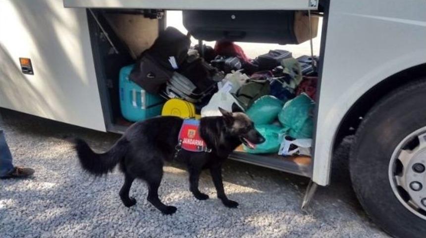 Milas&rsquo;ta Yolcu Otob&uuml;s&uuml;nde Uyuşturucu Hap Ele Ge&ccedil;irildi