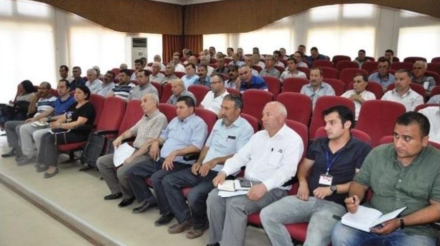 Deniz: "lsd İ&ccedil;in Panik Yapmayın"