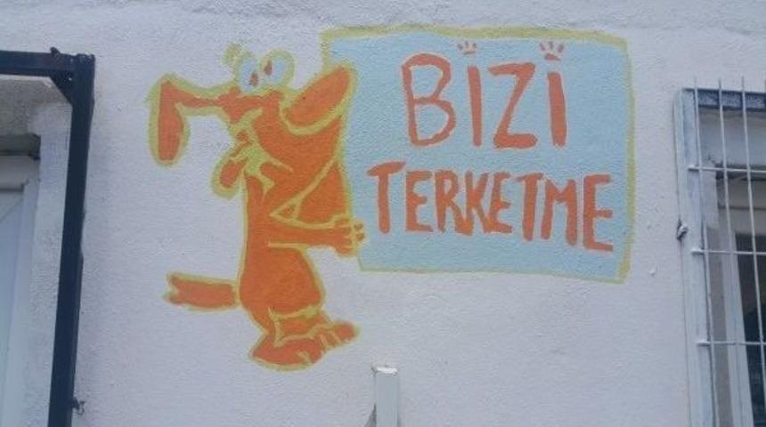 Hayvan Bakımevi Resimlerle Renklendi