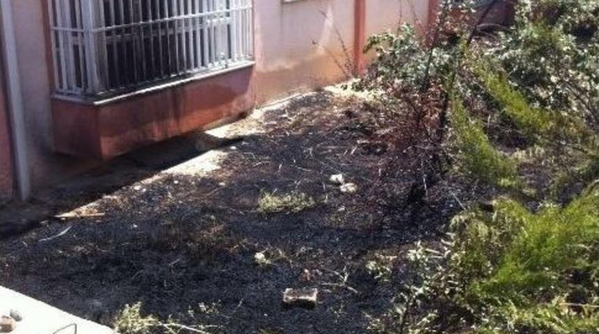 Alev Alan Ağa&ccedil;lar S&ouml;nd&uuml;r&uuml;ld&uuml;