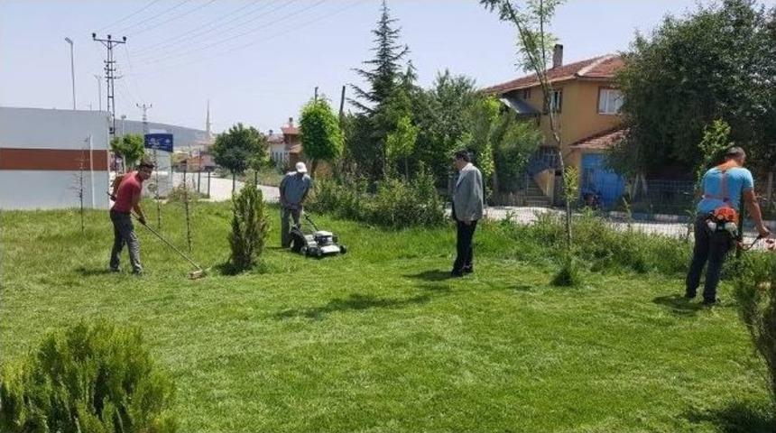 Pazaryeri Belediyesi &Ccedil;alışıyor