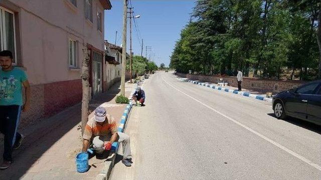 Pazaryeri Belediyesi Çalışıyor