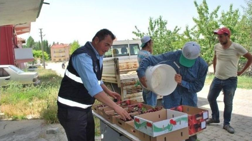 Belediye Personeli Kiraz Mesaisinde